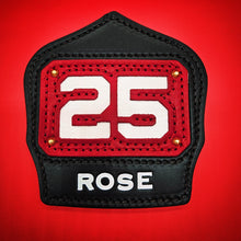 FDNY Style Passport Shield